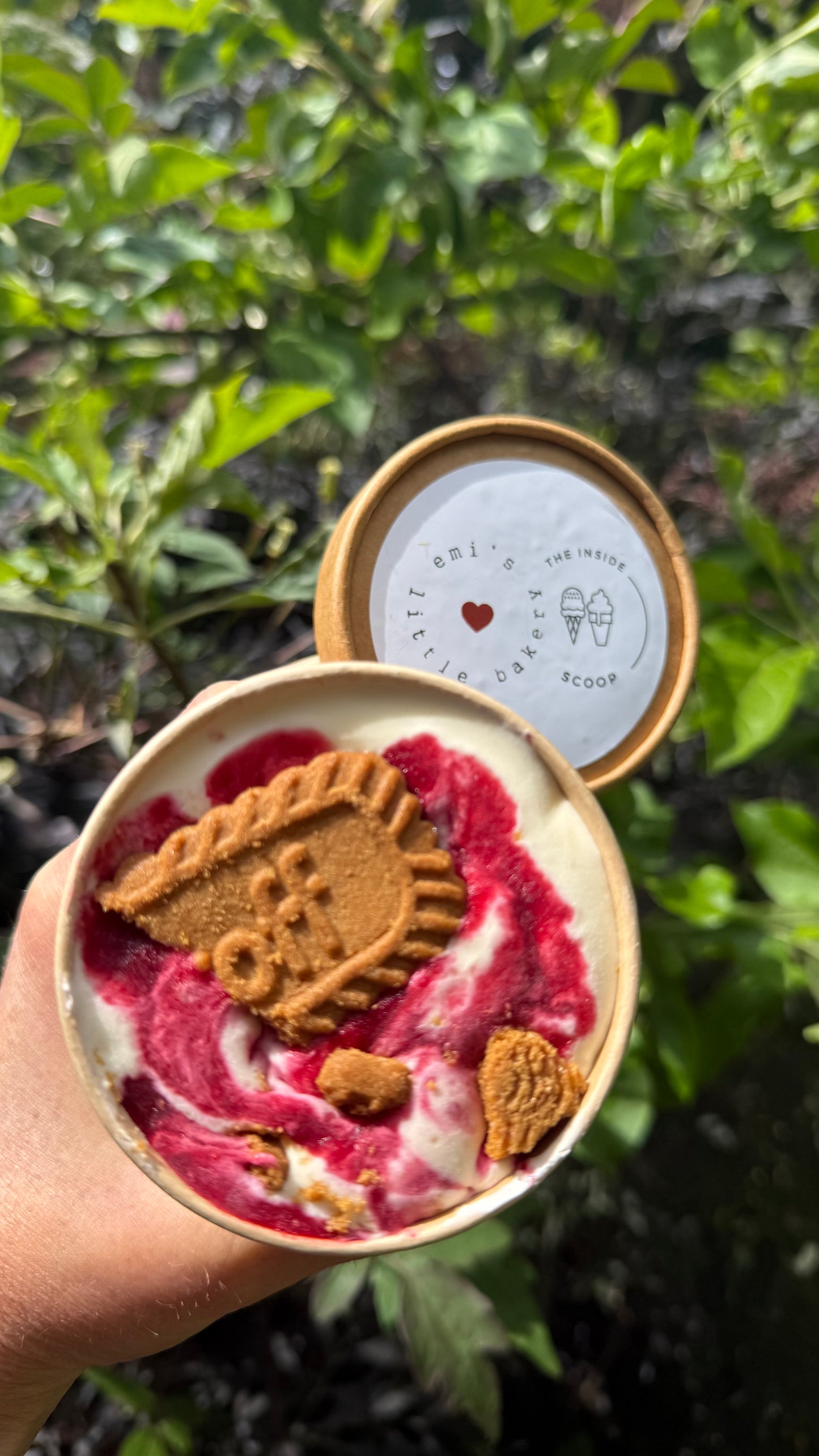Cookie & Ice Cream Special