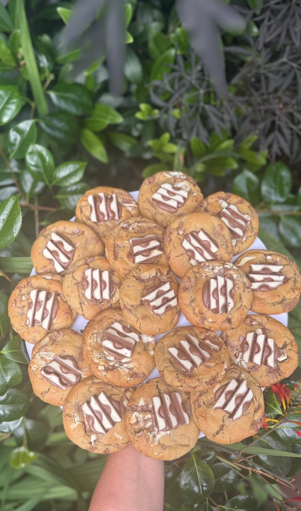 Mixed Cookie Special
