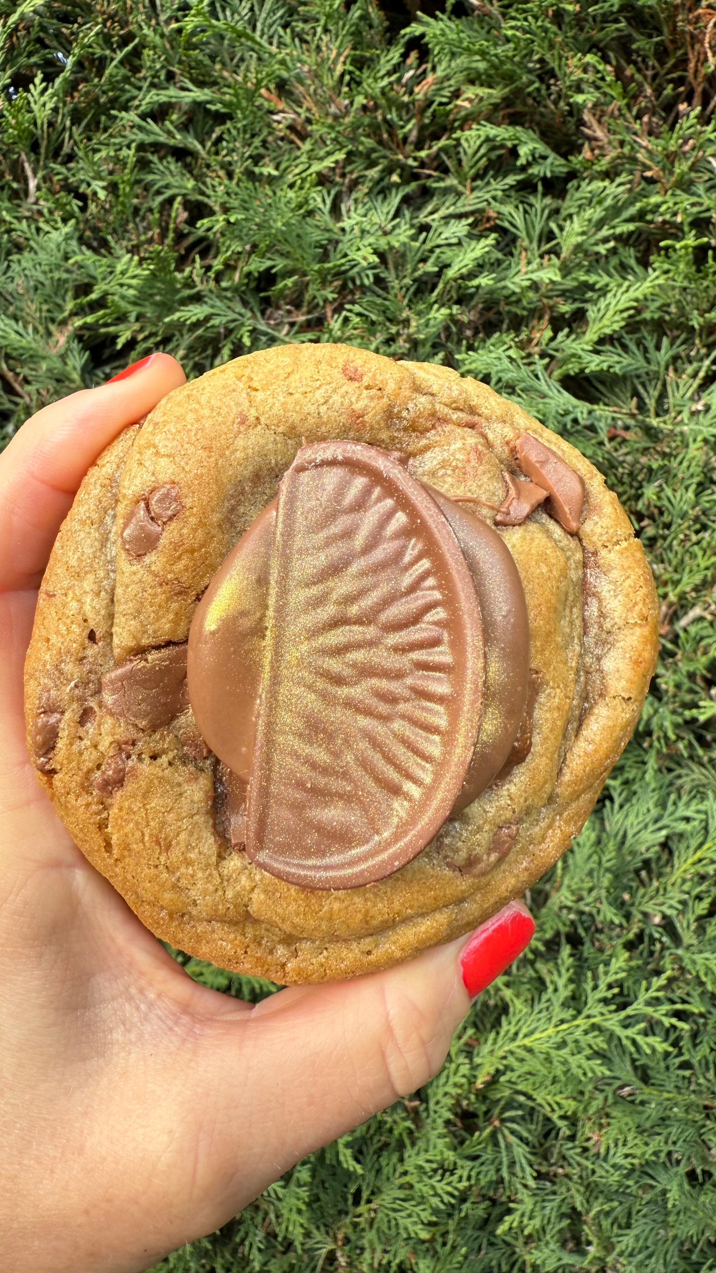 5 Chocolate Orange Cookies